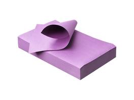 AKZENTA Traypapier Coco Color 250 Stück