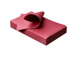AKZENTA Traypapier Coco Color 250 Stück