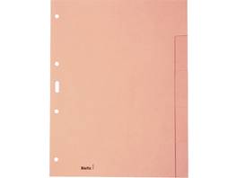 BIELLA Blankoregister 5-teilig