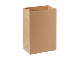 BIOPAK Take-Away Tasche 5 L, 500 Stück