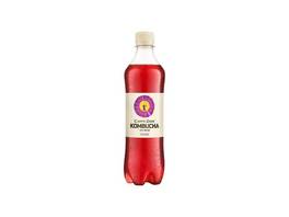 CARPE DIEM Kombucha Classic 12 x 500 ml