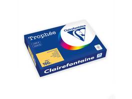 Clairefontaine Trophée Kopierpapier A3 Pastell, 160 g/m²