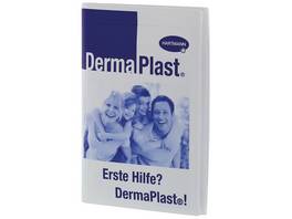 DERMAPLAST Pflasteretui Plastik, 16 Pflaster