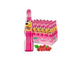 DREH & TRINK Himbeere 24 x 200 ml
