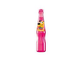DREH & TRINK Himbeere 24 x 200 ml