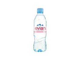 EVIAN Eau minérale non gazeuse 24 x 500 ml