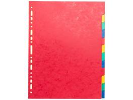 EXACOMPTA Blankoregister TopColor 12-teilig