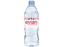 Evian, eau minérale naturelle, 6 x 100 cl