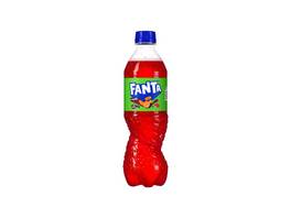 FANTA Exotic 24 x 500 ml
