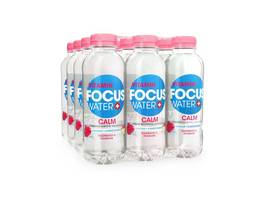 FOCUS WATER Calm 12 x 500 ml