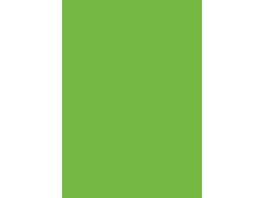 FocusShop Papier couleur A4 - 500 flls.