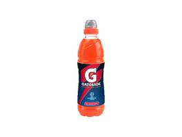 GATORAGE Red Orange 12 x 750 ml