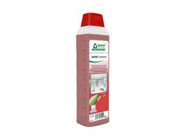 GREENCARE Nettoyant sanitaire Sanet extreme 10 x 1 L