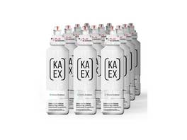 KA-EX GO 12 x 460 ml
