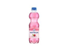 KNUTWILER Himbeere 24 x 500 ml