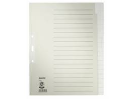 LEITZ Blankoregister 20-teilig
