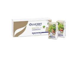 LUCART Taschentücher EcoNatural 90 F 4-lagig, 24 x 10 Pack