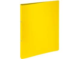 PAGNA Ringbuch 23mm A4