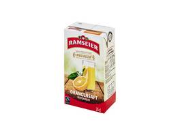 RAMSEIER Premium Orangensaft 27 x 250 ml