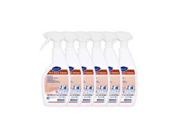 ROOM CARE Fugenreiniger R11 Grout Cleaner 6 x 750 ml