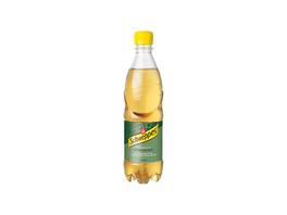 SCHWEPPES Ginger Ale 24 x 500 ml