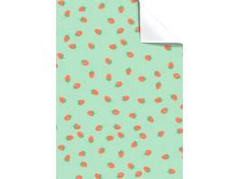 STEWO Papier cadeau Fragolina