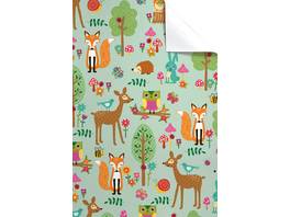 STEWO Papier-cadeau Roman