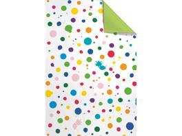 STEWO Papier-cadeau Toto