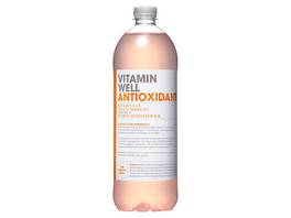 VITAMIN WELL Antioxidant 6 x 1.15 L