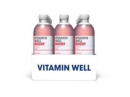 VITAMIN WELL Boost 12 x 500 ml