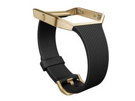 fitbit Accessoires Fitbit Blaze