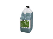 ECOLAB Bodenreiniger Regain 2 x 5 L