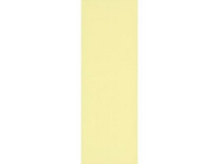 BIELLA Organisations-Farbstreifen 50 x 145 mm