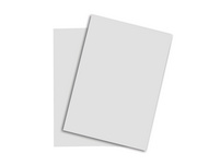 PAPYRUS Papier copieur Rainbow A3, 160 g/m², 250 feuilles
