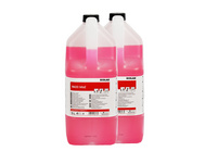 ECOLAB Sanitärreiniger MAXX Into2, 2 x 5 L
