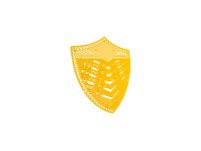 Urinalsieb Shield Plus 10 Stück