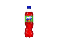 FANTA Exotic 24 x 500 ml