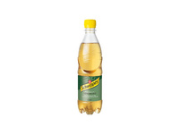 SCHWEPPES Ginger Ale 24 x 500 ml