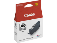CANON Cartouche d'encre gris